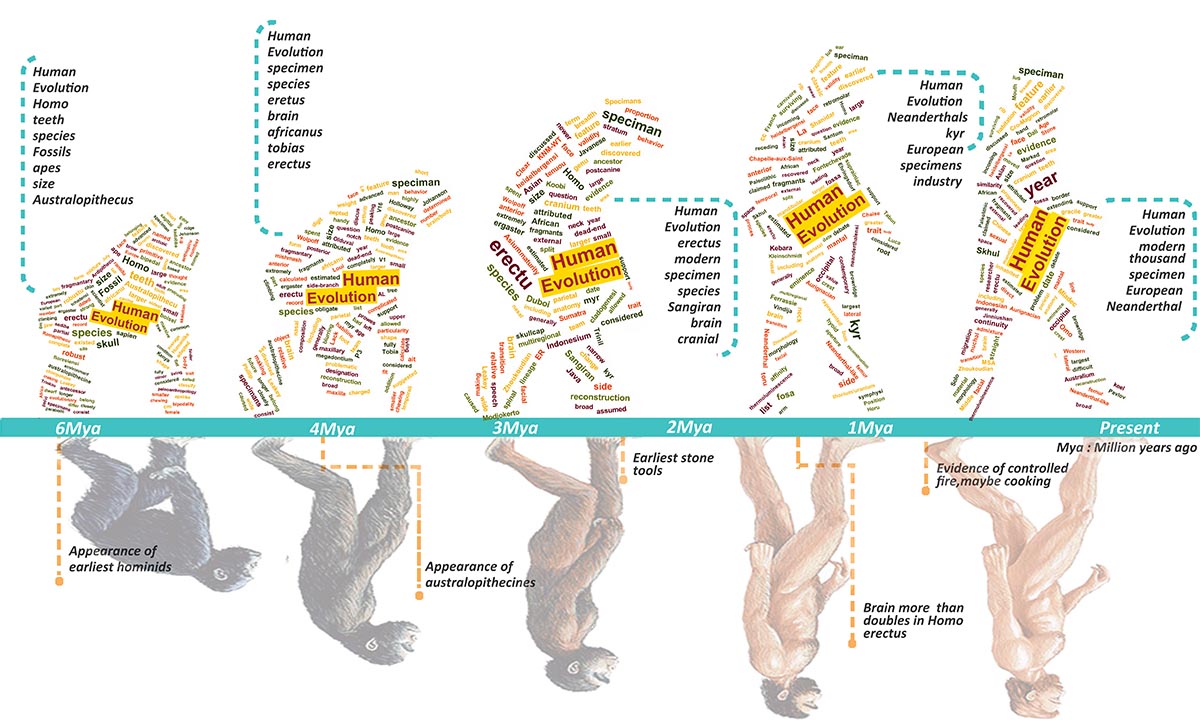 Text Data Visualization