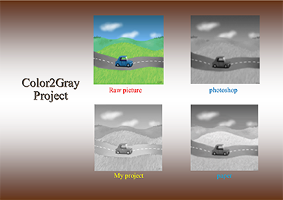 color2gray activation color2gray activation